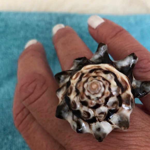 Shell Ring - Picture 3 of 7
